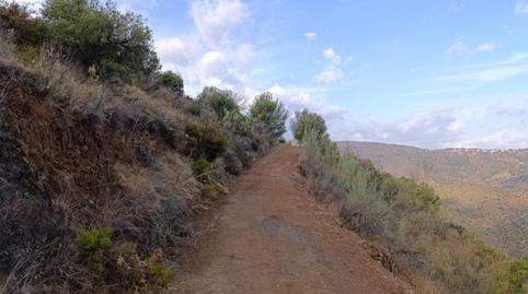 Flat for sale in Calle de Stradivarius, 35, Pinares de San Antón, Málaga - image 2 Photo 2 of Flat for sale in Calle de Stradivarius, 35, Pinares de San Antón, Málaga