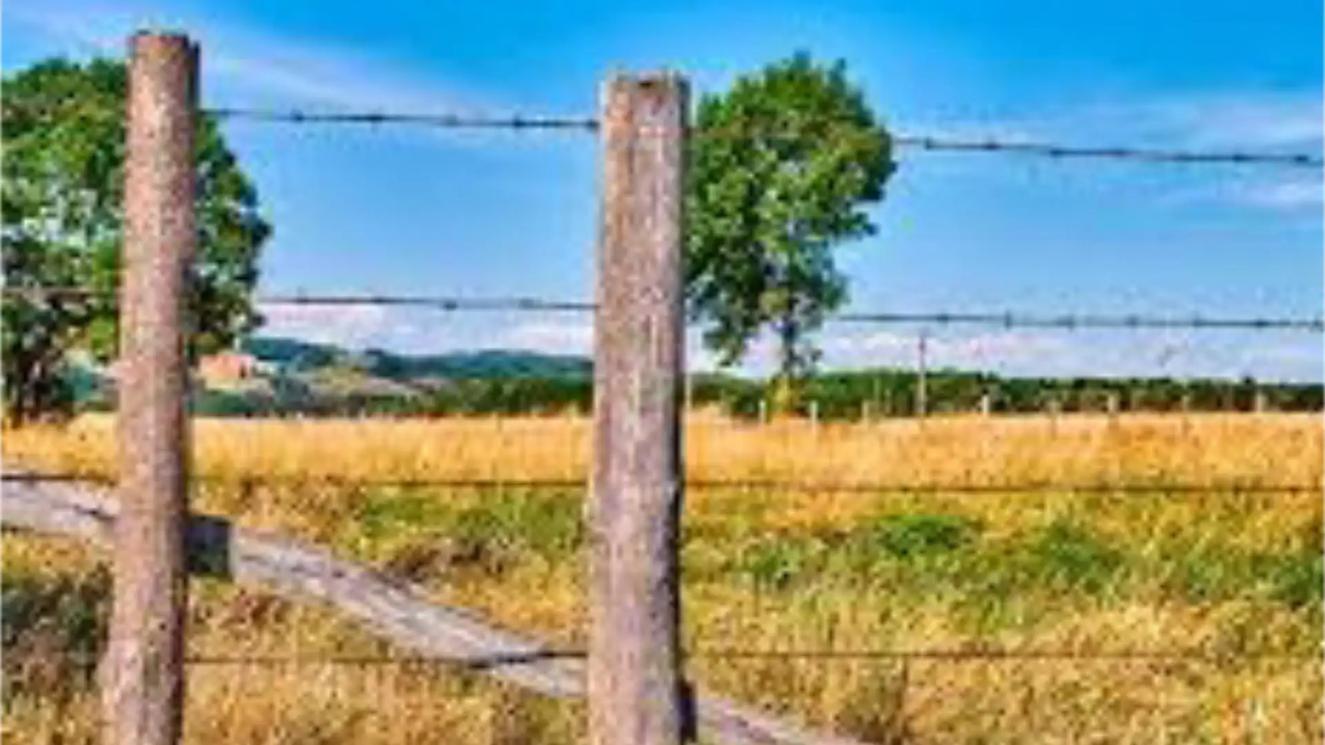 Vista exterior de Terreno en venta en Verges