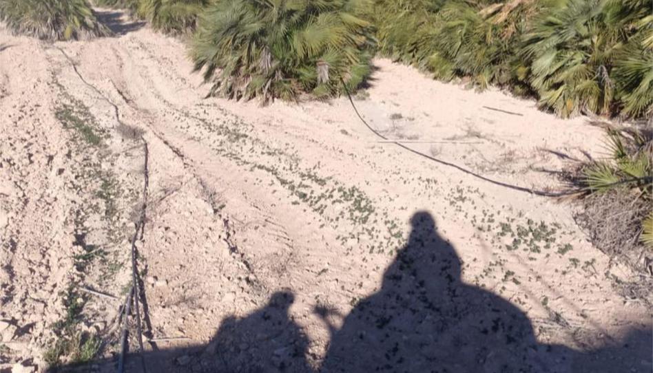 Finca rústica en venda a Carretera de Agost, 41, Villamontes - Boqueres, Alicante - imatge 1 Foto 1 de Finca rústica en venda a Carretera de Agost, 41, Villamontes - Boqueres, Alicante