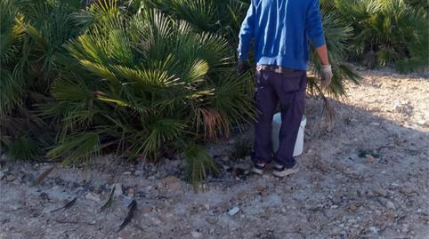 Finca rústica en venda a Carretera de Agost, 41, Villamontes - Boqueres, Alicante - imatge 5 Foto 5 de Finca rústica en venda a Carretera de Agost, 41, Villamontes - Boqueres, Alicante