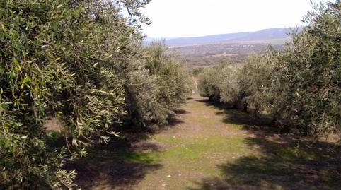 Country house for sale in Calle Lepanto, 21, Herrera del Duque, Badajoz - image 2 Photo 2 of Country house for sale in Calle Lepanto, 21, Herrera del Duque, Badajoz