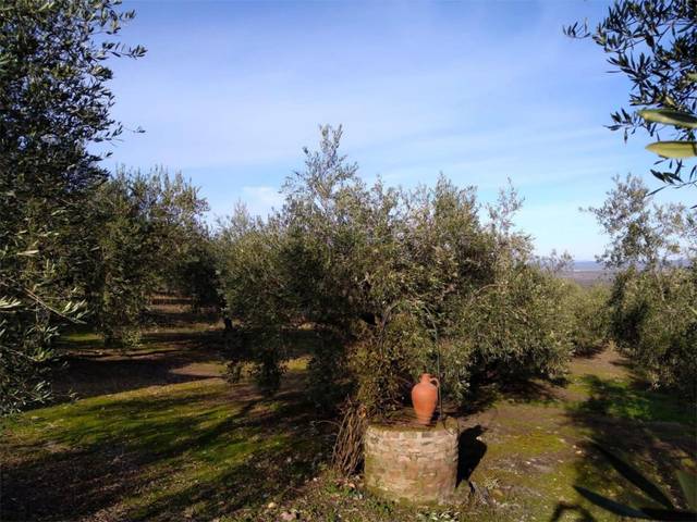 Finca rústica en Venta en Calle Lepanto, 21 en Herrera del Duque