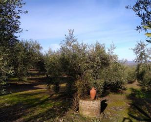 Jardí de Finca rústica en venda en Herrera del Duque amb Calefacció, Jardí privat i Terrassa