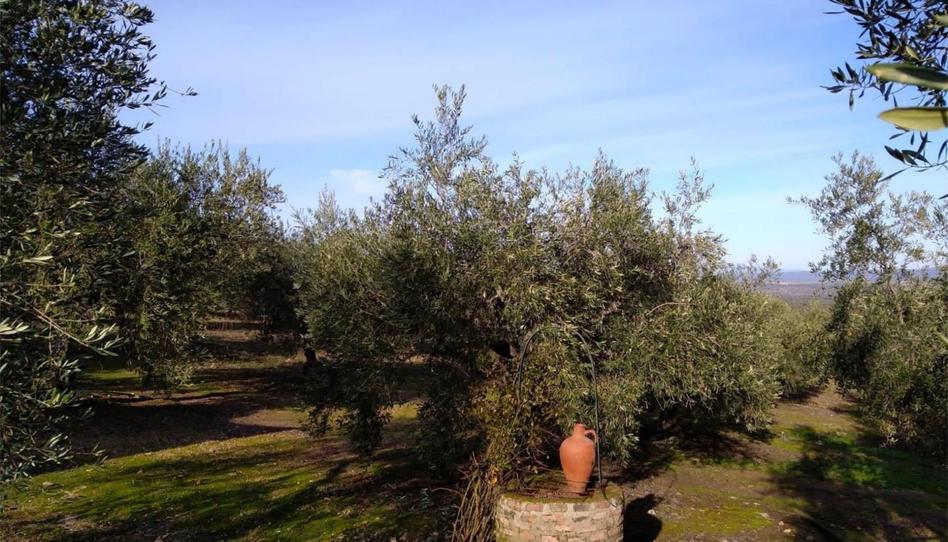 Country house for sale in Calle Lepanto, 21, Herrera del Duque, Badajoz - image 1 Photo 1 of Country house for sale in Calle Lepanto, 21, Herrera del Duque, Badajoz