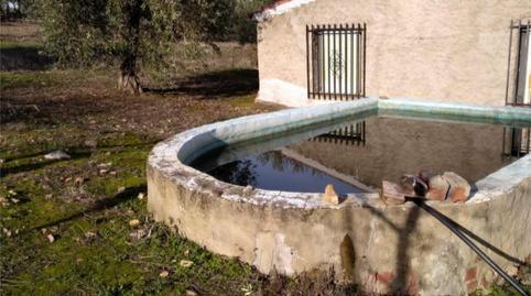 Country house for sale in Calle Lepanto, 21, Herrera del Duque, Badajoz - image 5 Photo 5 of Country house for sale in Calle Lepanto, 21, Herrera del Duque, Badajoz