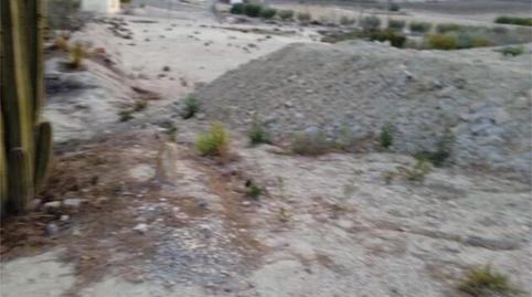 Photo 5 of House or chalet for sale in El Fenazar - Campotéjar, Murcia