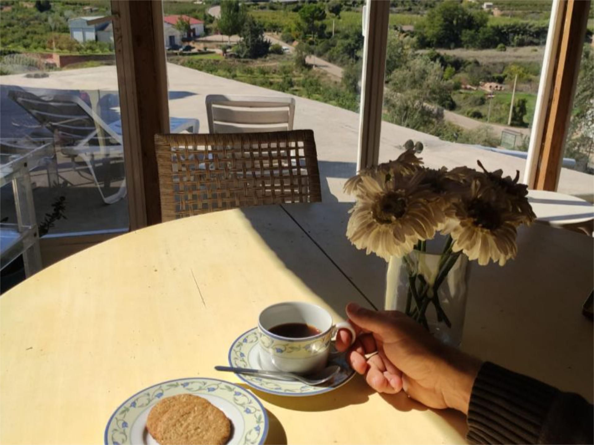Terrace of Flat for sale in Oliete