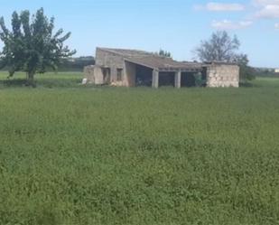 Finca rústica en venda en Petra