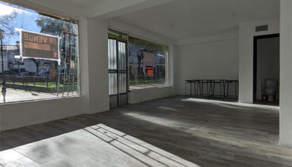 Premises for sale in Plaza Virgen de la Esperanza, 8, San Cristóbal, Málaga - image 1 Photo 1 of Premises for sale in Plaza Virgen de la Esperanza, 8, San Cristóbal, Málaga