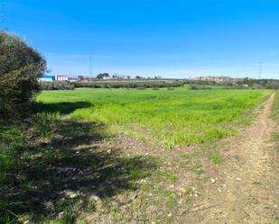 Land for sale in Gerena