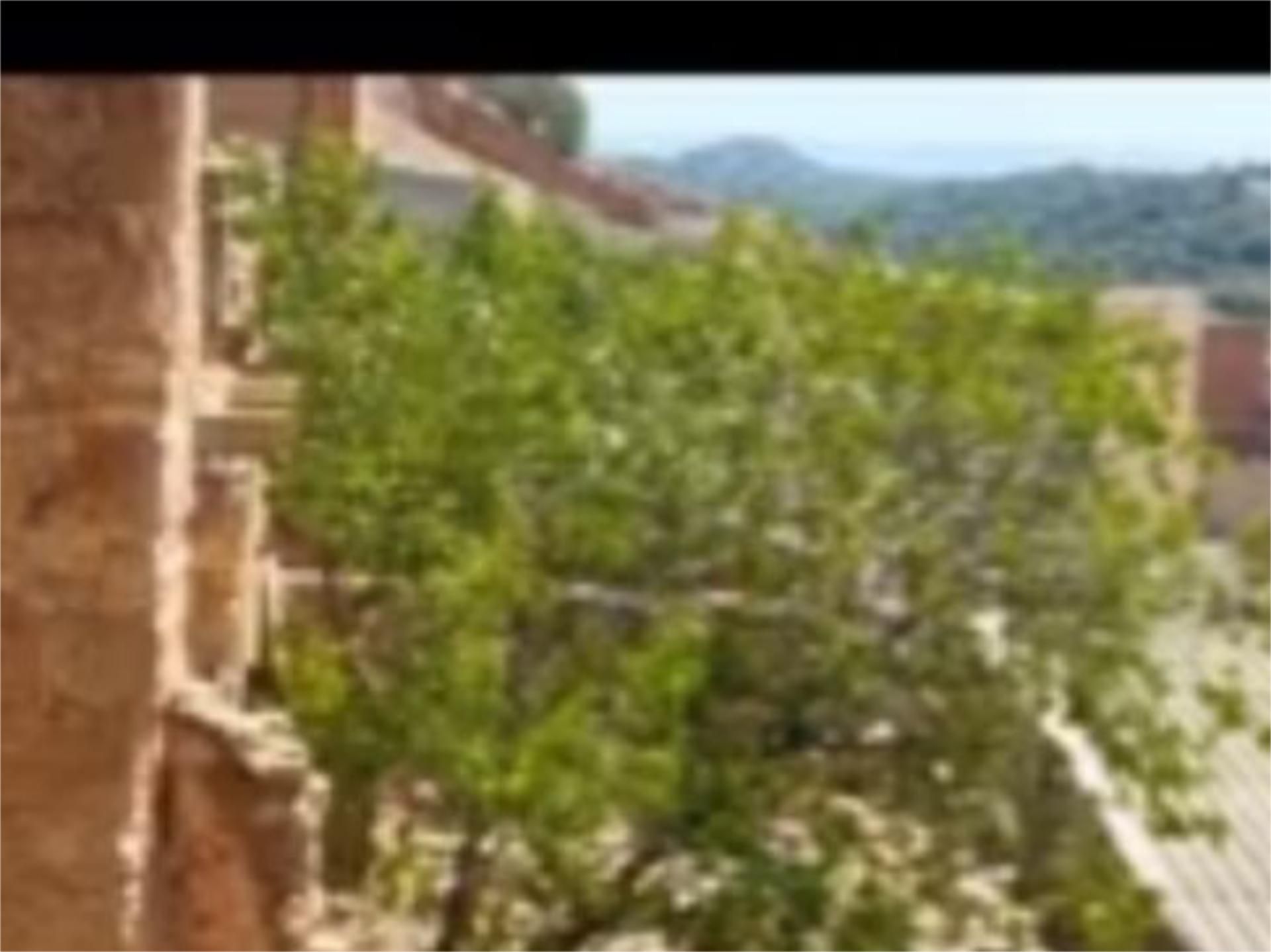 Exterior view of Residential for sale in Juncosa