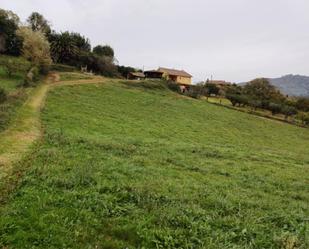 Non-constructible Land for sale in Oviedo 