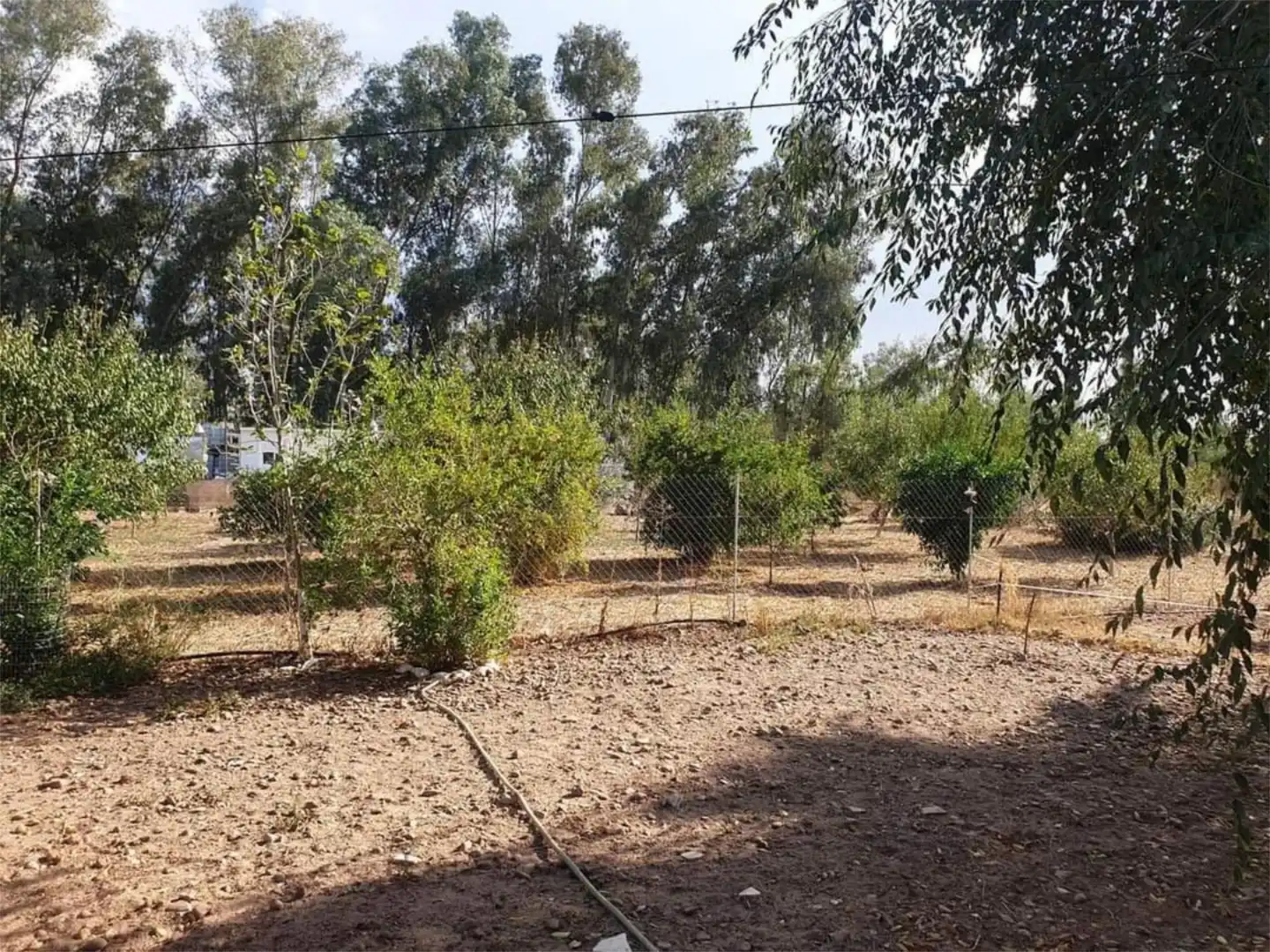 Finca rústica en venta en Diseminado Diseminados 2, 722, Carmona Finca rústica en venta en Carmona con Terraza y Balcón