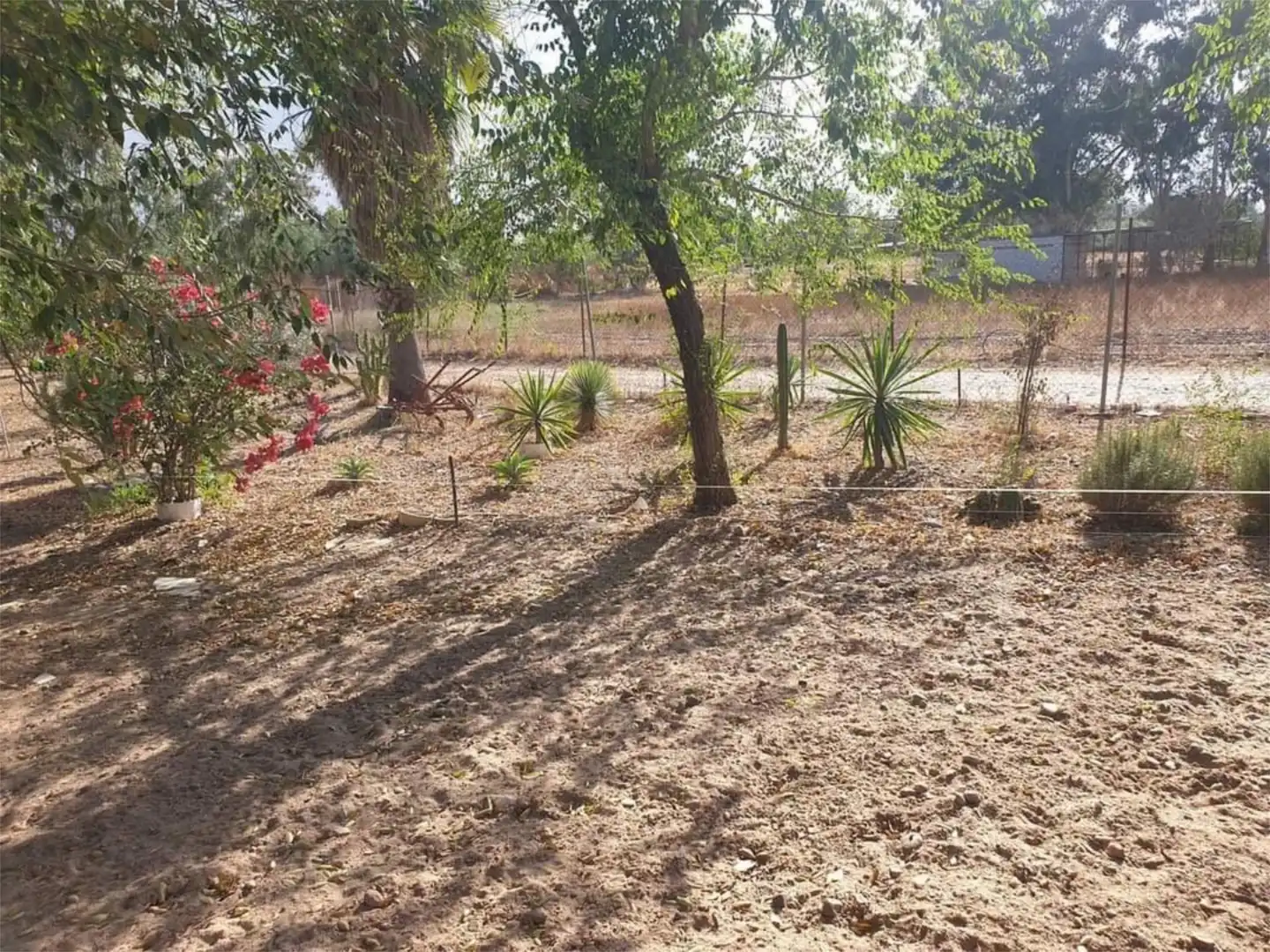 Finca rústica en venta en Diseminado Diseminados 2, 722, Carmona Finca rústica en venta en Carmona con Terraza y Balcón