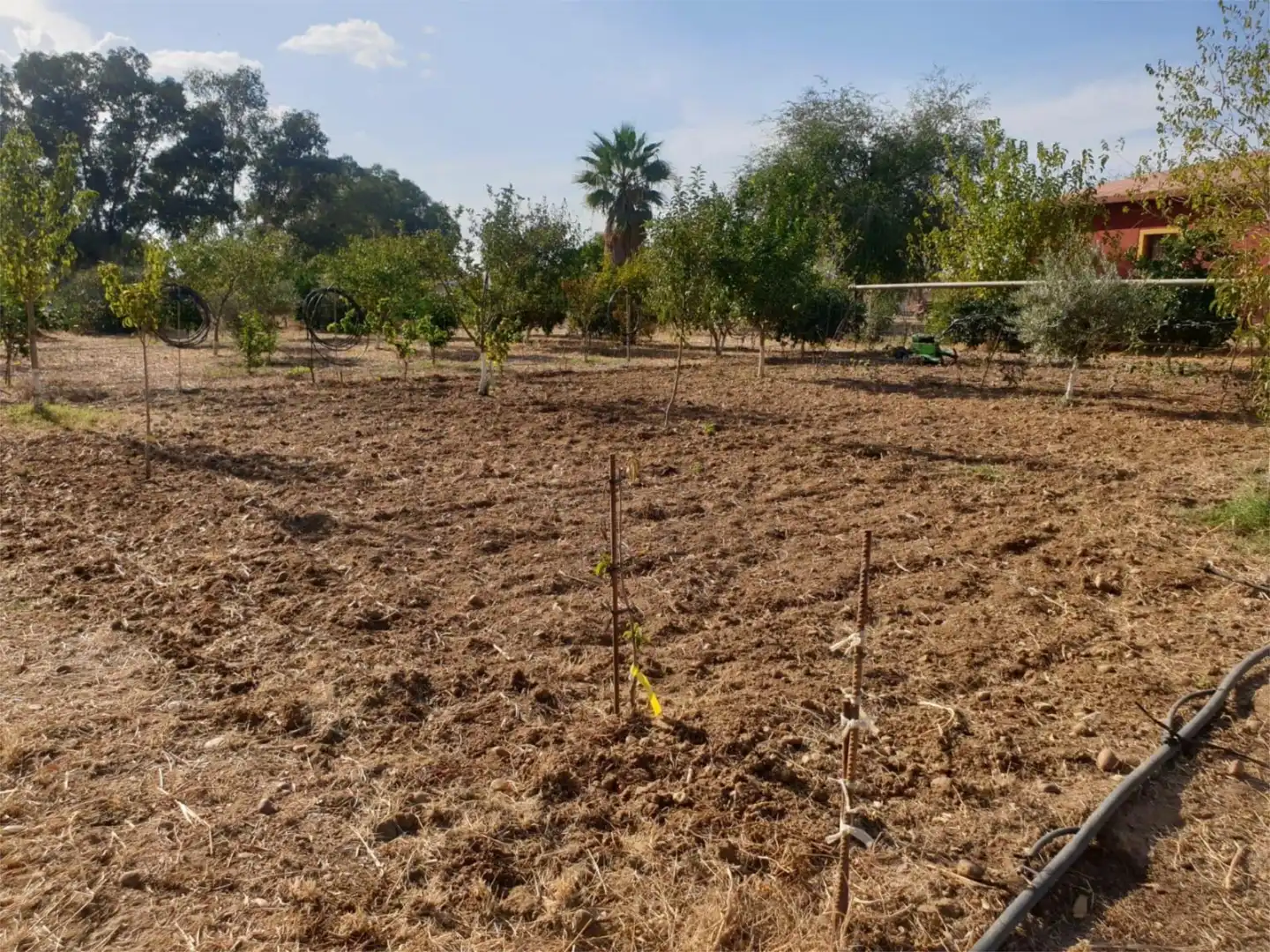 Finca rústica en venta en Diseminado Diseminados 2, 722, Carmona Finca rústica en venta en Carmona con Terraza y Balcón
