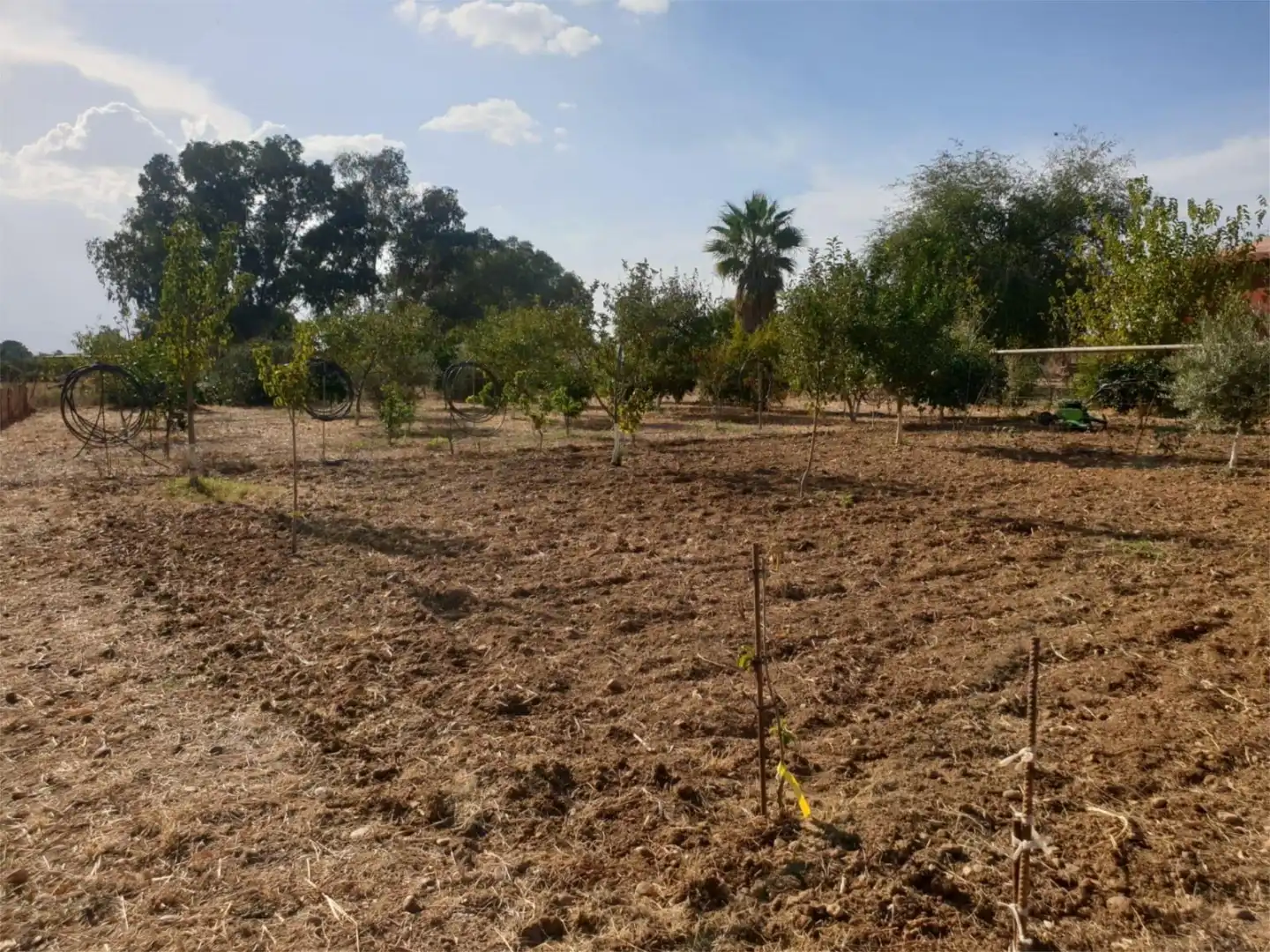 Finca rústica en venta en Diseminado Diseminados 2, 722, Carmona Finca rústica en venta en Carmona con Terraza y Balcón