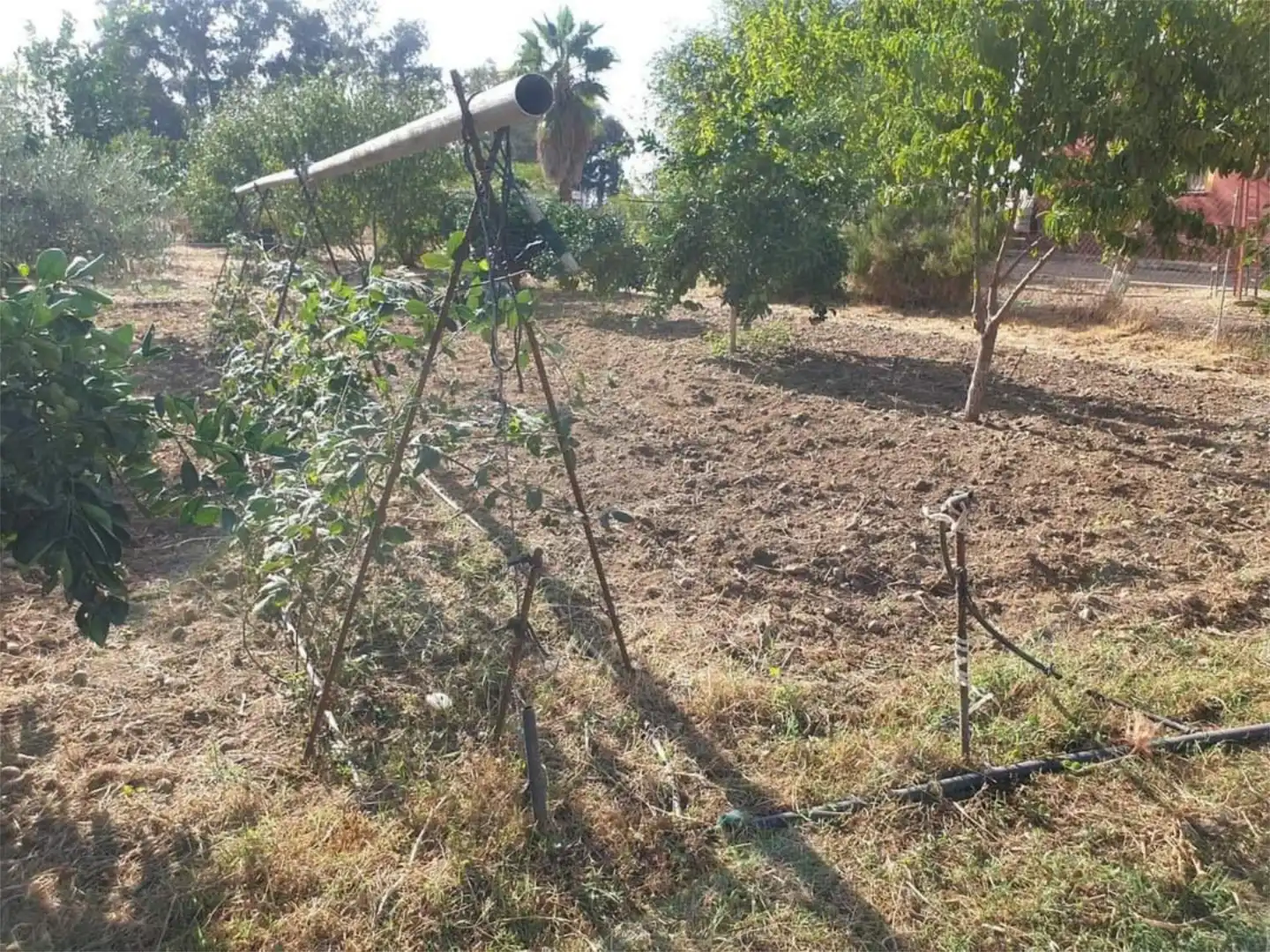 Finca rústica en venta en Diseminado Diseminados 2, 722, Carmona Finca rústica en venta en Carmona con Terraza y Balcón