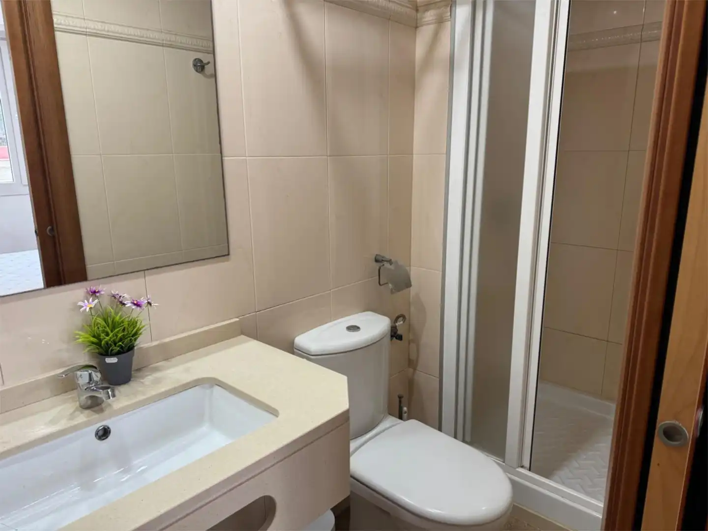 Baño de Estudio de alquiler en Cabanes con Amueblado