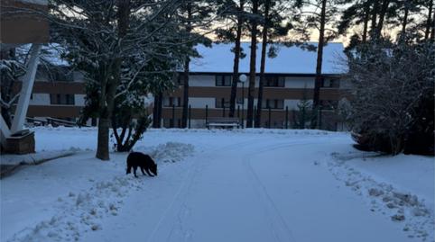 Photo 2 of Flat for sale in Calle Edificio Encina, 1, Cerezo de Arriba, Segovia