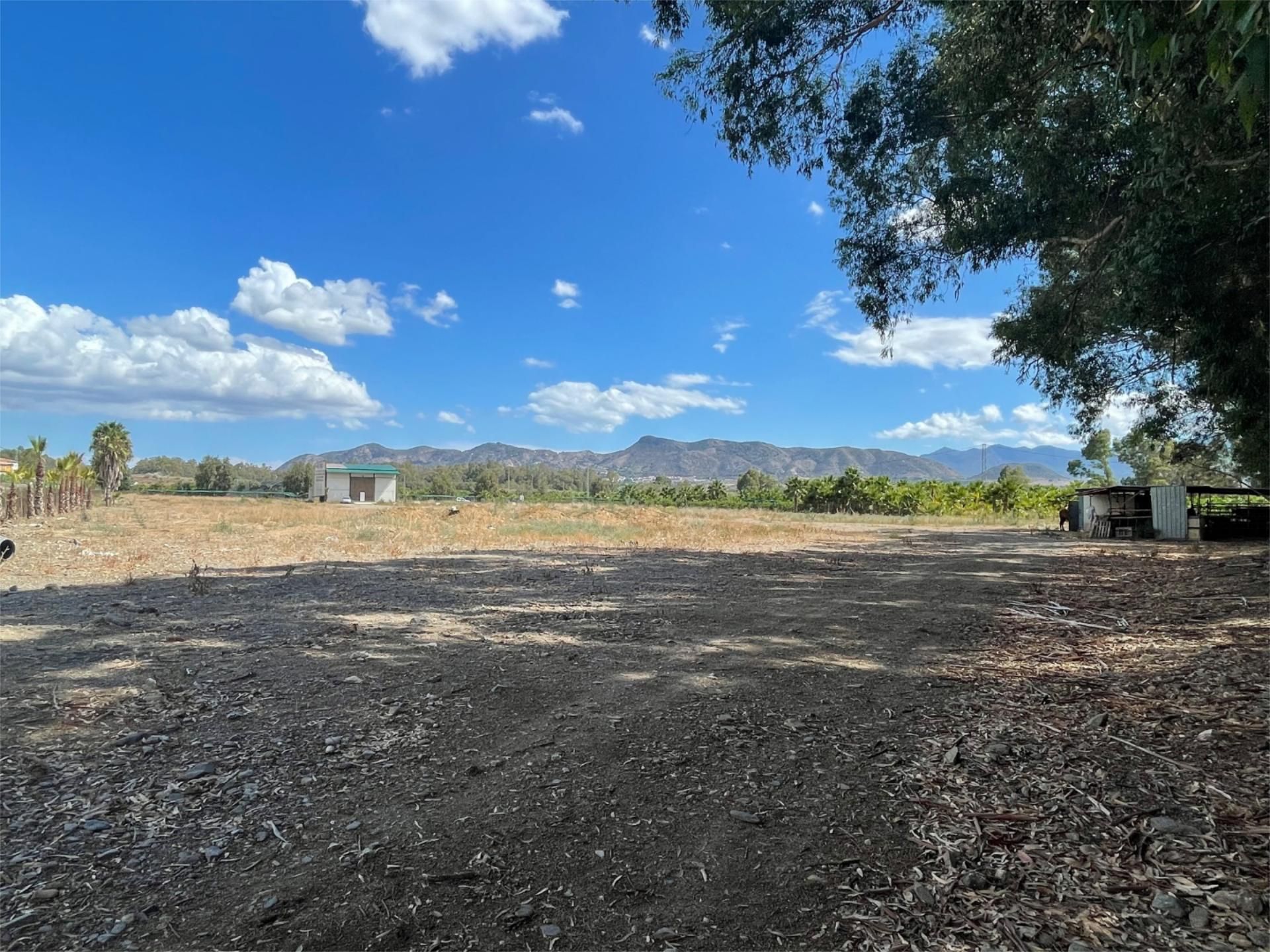 Land for sale in Pizarra