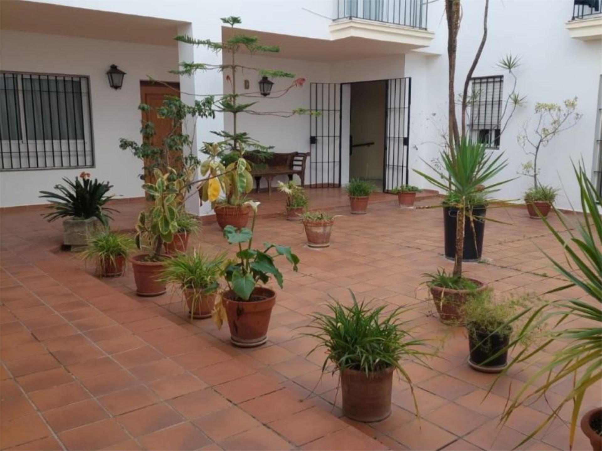 Terrassa de Pis per a compartir en Jerez de la Frontera amb Jardí privat, Terrassa i Moblat