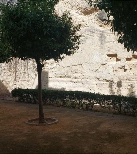 Foto 2 de Pis per a compartir a Calle San Marcos, 18, Centro, Cádiz