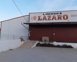 Exterior view of Industrial buildings to rent in Beniel