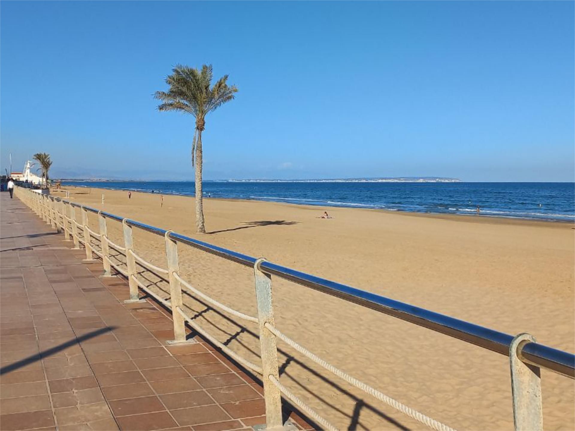 Exterior view of House or chalet for sale in Guardamar del Segura  with Air Conditioner, Terrace and Swimming Pool
