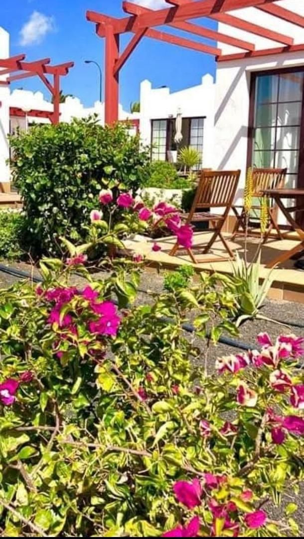 Garden of Apartment for sale in Antigua  with Terrace, Furnished and Washing machine