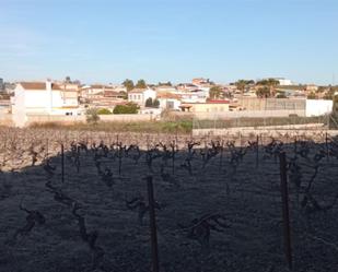 Terreny en venda en Sanlúcar de Barrameda