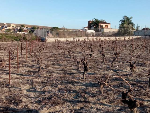 Terreno en Venta en Camino Reventón Grande, 5 en Monteolivete - Camino Sevilla