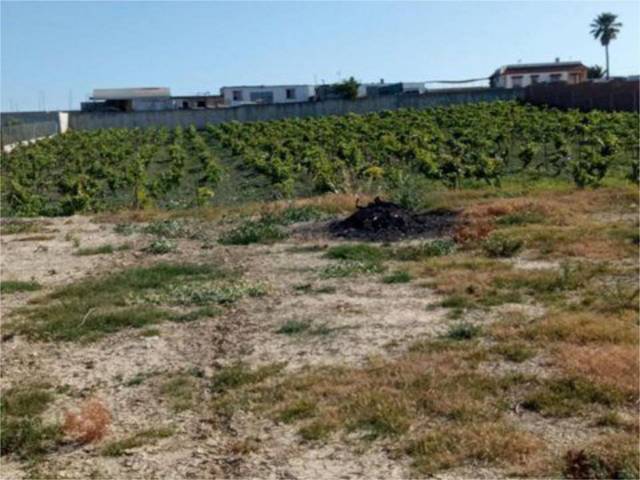 Terreno en Venta en Camino Reventón Grande, 5 en Monteolivete - Camino Sevilla