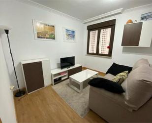 Sala d'estar de Apartament de lloguer en Salamanca Capital amb Calefacció, Terrassa i Moblat