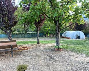 Garden of Land for sale in Olaibar