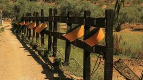 Photo 4 of House or chalet for sale in Calleja San Francisco, 41, Guadalcanal, Sevilla