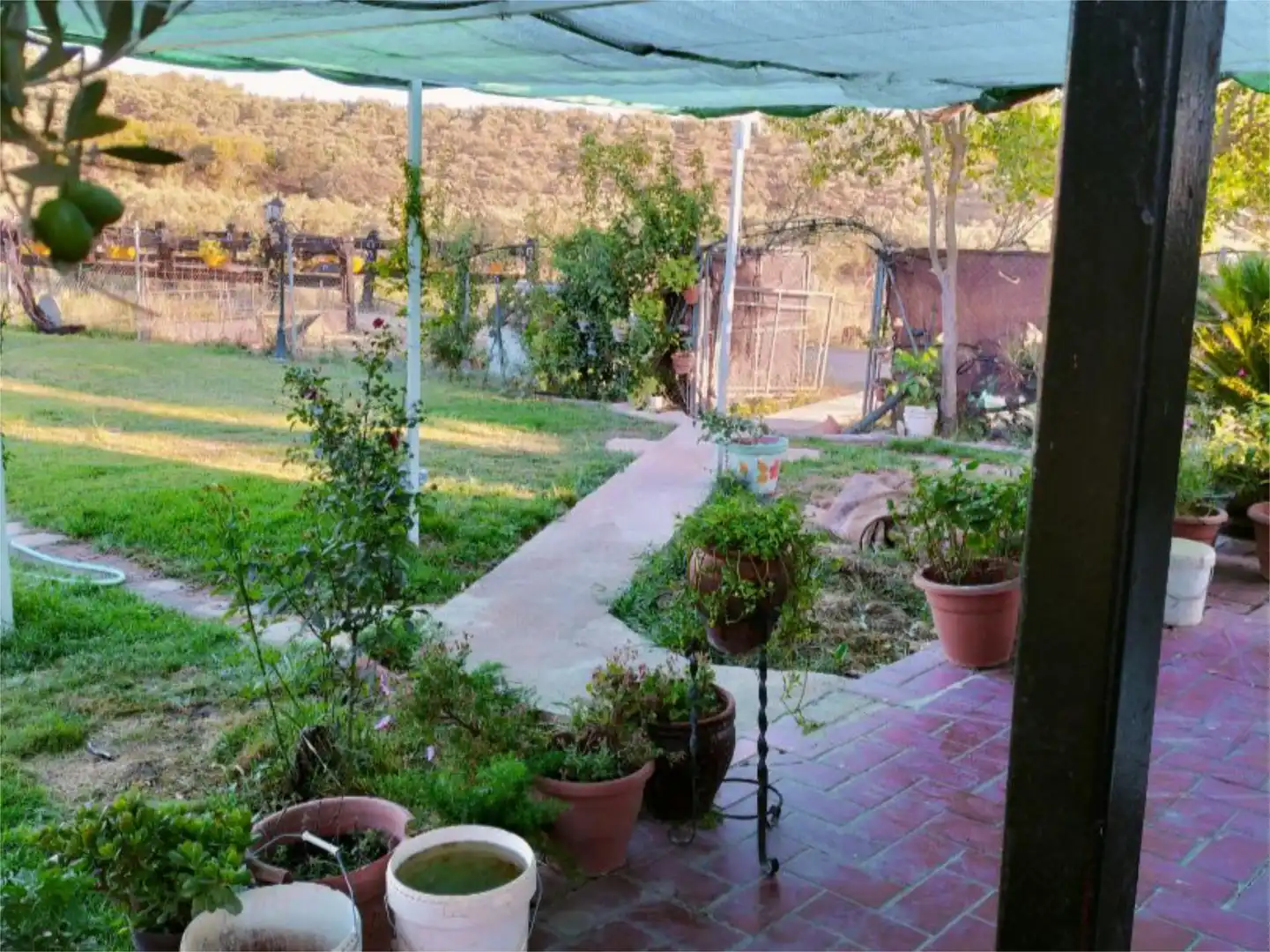 Houses for sale in Calleja San Francisco, 41, Guadalcanal Garden of Houses for sale in Guadalcanal with Private garden and Swimming Pool