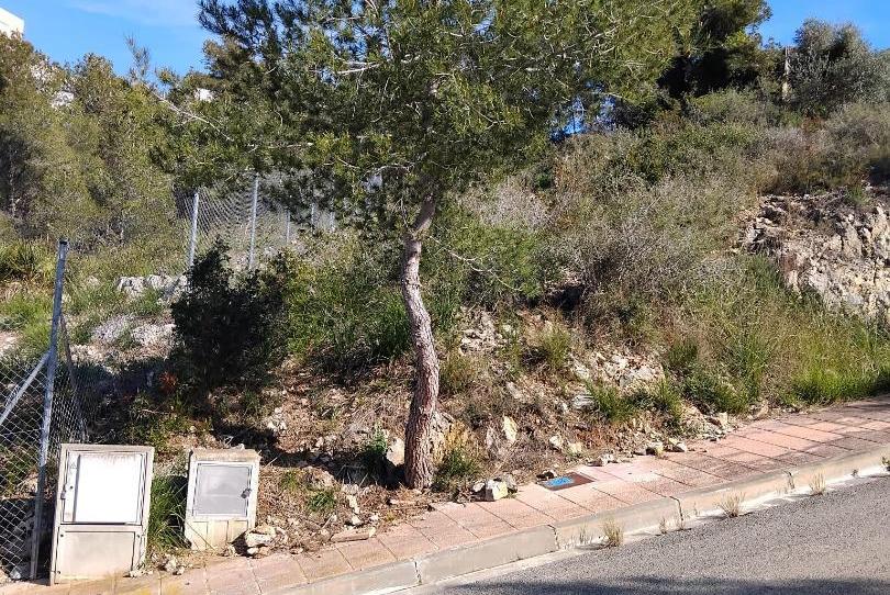 Photo 1 of Constructible Land for sale in Carrer Montserrat, 3, Mas Alba, Barcelona