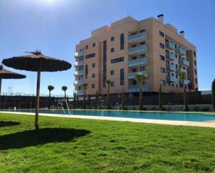 Swimming pool of Flat to rent in Málaga Capital  with Air Conditioner, Private garden and Parquet flooring