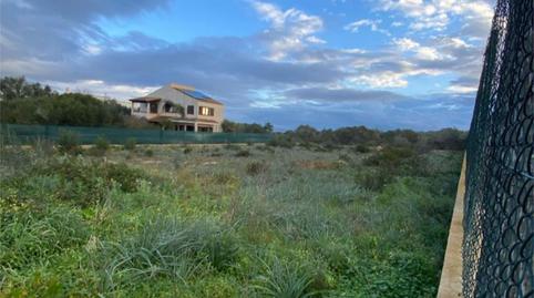 Photo 3 of Land for sale in Carrer Santa Catalina, 21, Sa Torre, Illes Balears