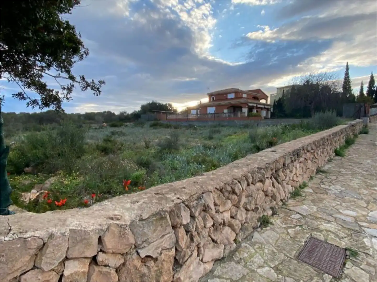 Land for sale in Carrer Santa Catalina, 21, Sa Torre Land for sale in Llucmajor
