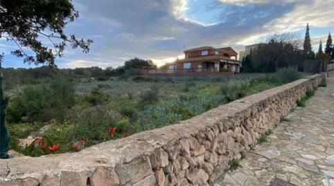 Photo 2 of Land for sale in Carrer Santa Catalina, 21, Sa Torre, Illes Balears