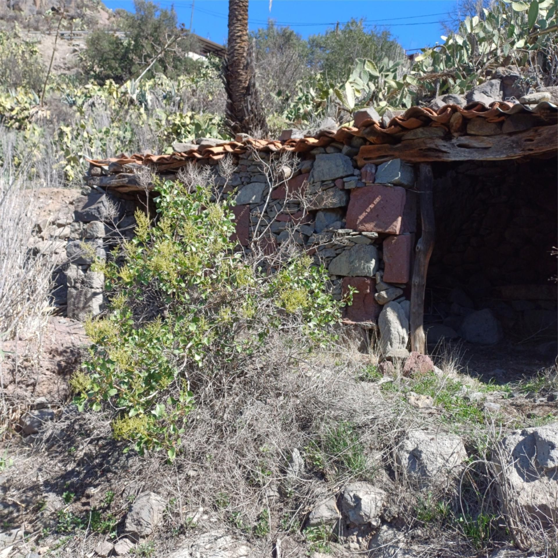 Vista exterior de Finca rústica en venta en San Bartolomé de Tirajana