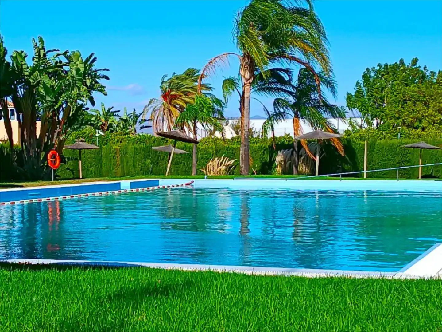 Detached homes for sale in Calle Escritora Elena Quiroga, 5, Churriana - El Pizarrillo - La Noria-Guadalsol Swimming pool of Detached homes for sale in Málaga with Air Conditioner, Heating and Private garden