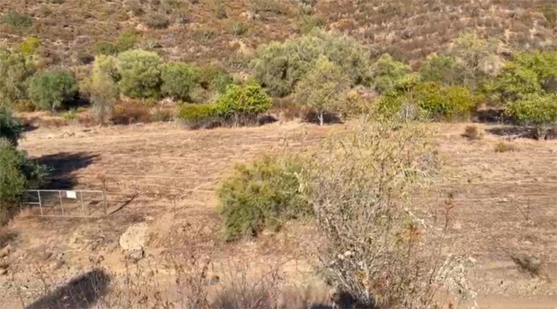 Non-constructible Land for sale in Sanlúcar de Guadiana