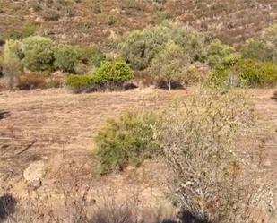 Non-constructible Land for sale in Sanlúcar de Guadiana