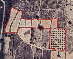 Constructible Land for sale in San Fulgencio