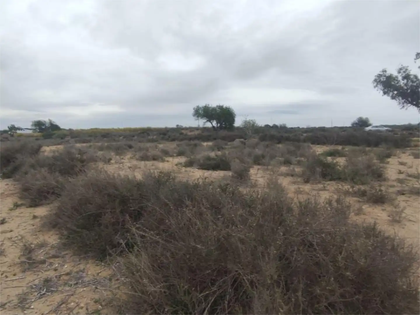 Constructible Land for sale in Calle Berruguete, 3, San Fulgencio Constructible Land for sale in San Fulgencio