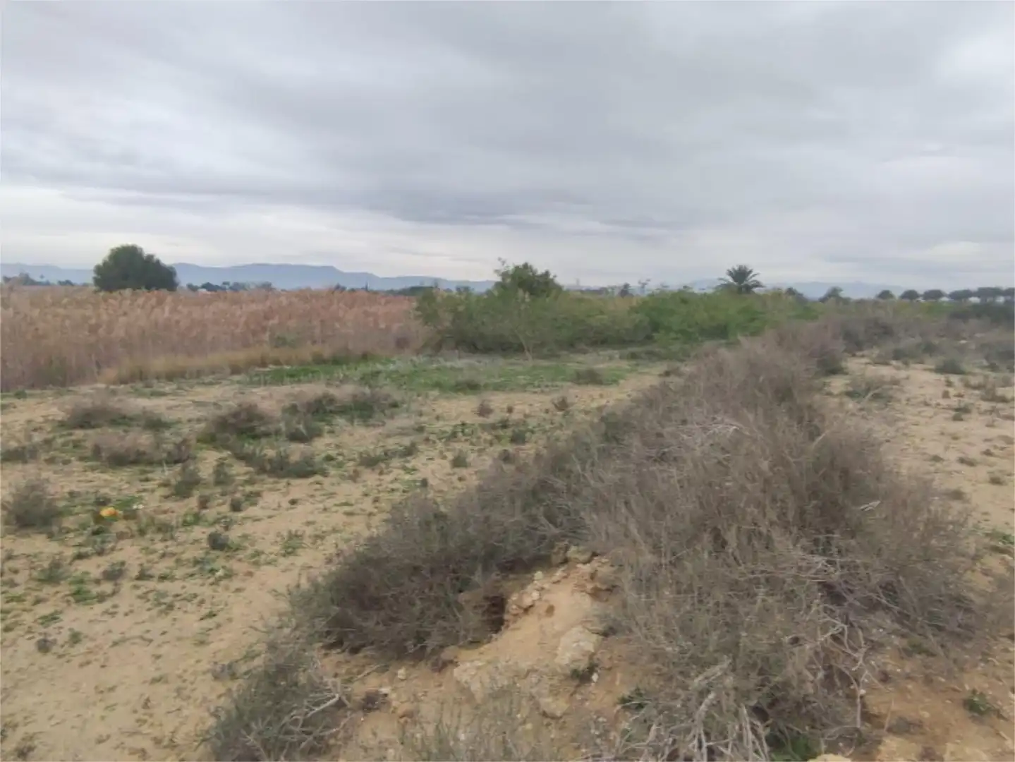 Constructible Land for sale in Calle Berruguete, 3, San Fulgencio Constructible Land for sale in San Fulgencio