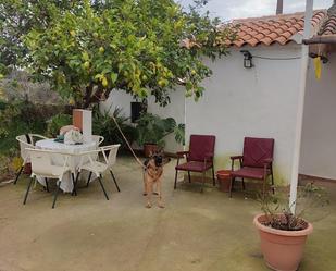 Jardí de Casa adosada en venda en Las Navas de la Concepción amb Jardí privat