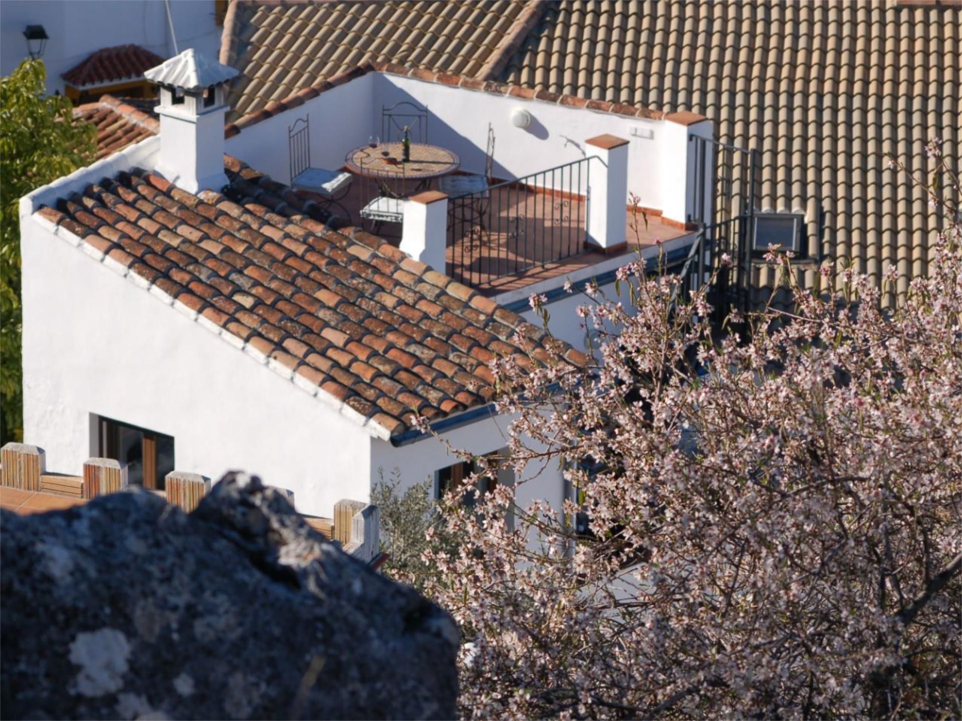 Exterior view of Flat for sale in Montejaque  with Terrace and Balcony